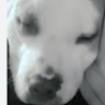 Profile picture of MACKENZIE LANE (Student)