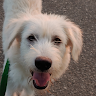 Profile picture of Linda Frei
